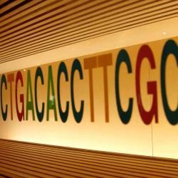 DNA