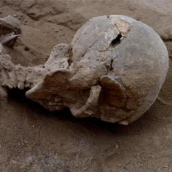 Left: Skull of a man found lying prone in the lagoons sediments. The skull has multiple lesions consistent with wounds from a blunt implement. Right: The skull in situ. 