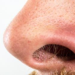 Close-up of someone's nose