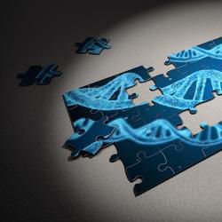 DNA jigsaw