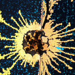 Shot in the dark’: the winning image from this year’s engineering photo competition. 