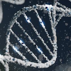 DNA
