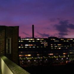 Estate sunset 