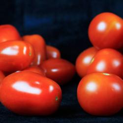Cherry and baby plum tomatoes