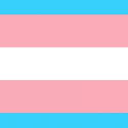 Transgender flag