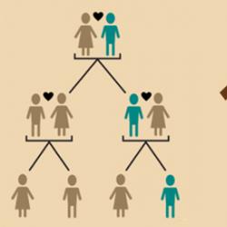 Details from infographic produced by Arizona State University 