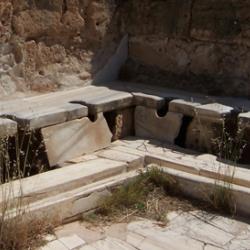 Left: Roman latrines from Lepcis Magna in Libya. Right: Roman whipworm egg from Turkey 