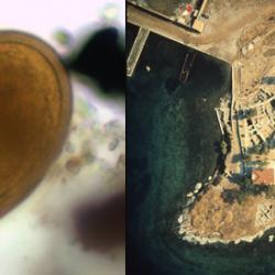 Left: whipworm egg taken from ancient Greek faecal matter. Right: excavation of the Bronze Age site of Ayia Irini on the island of Kea.   