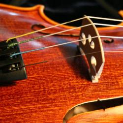 Violin