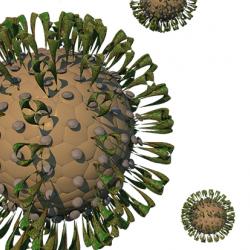 Coronavirus