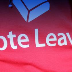 EU referendum CONTRAST