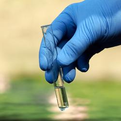 Water sample in test tube