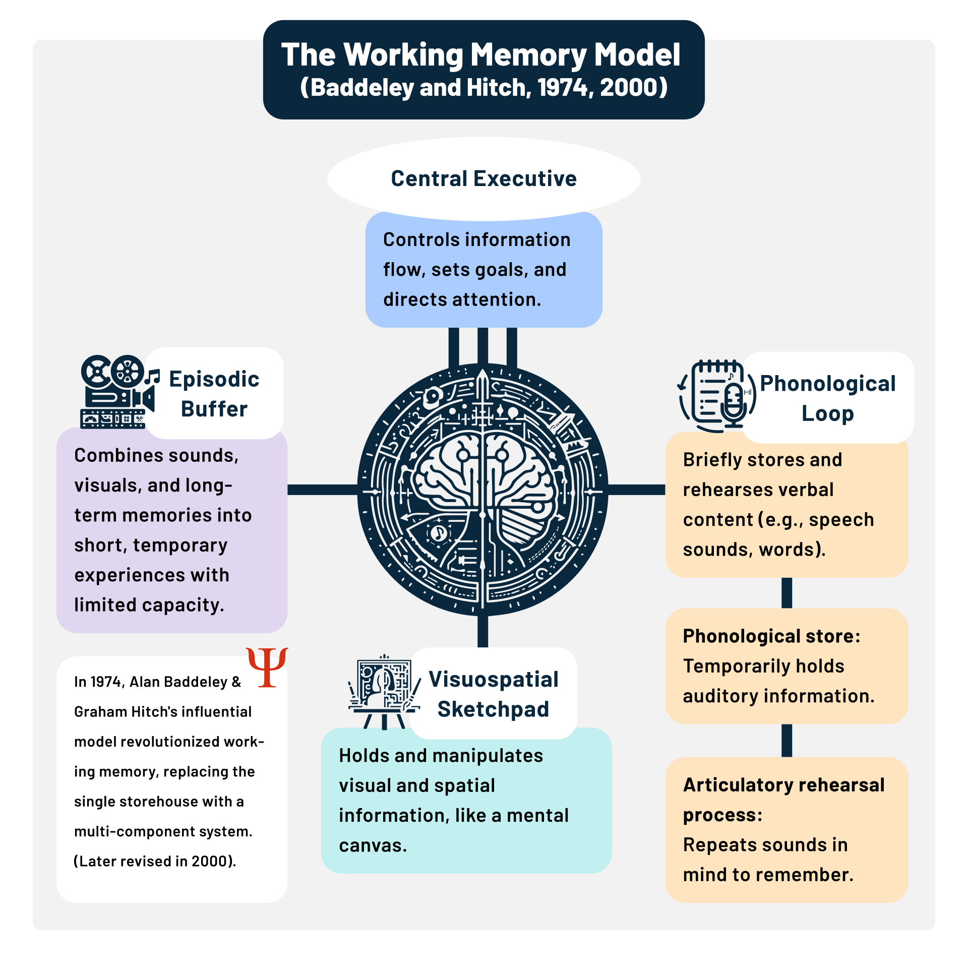 Baddeley and Hitch's Working Memory Model