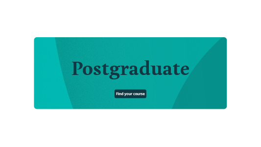 A cropped example of a University of Cambridge shield texture asset. Abstract lines and shapes are visible in various shades of the University Blue colour. Overlaid white text reads 'Postgraduate'.