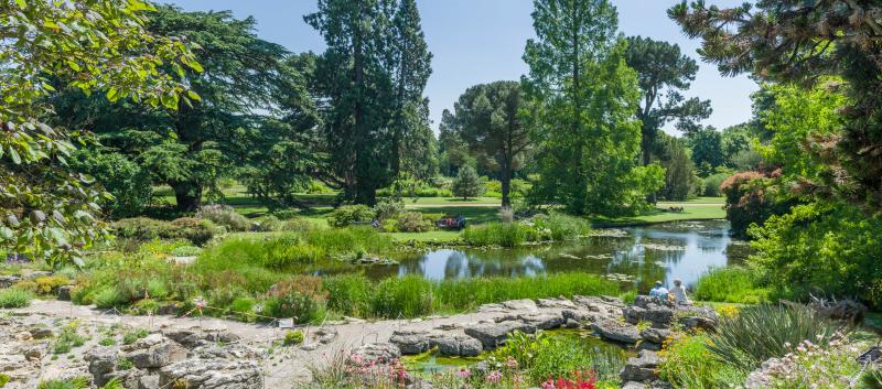 Heritage landscape at the Botanic Garden. (Image © Howard Rice)