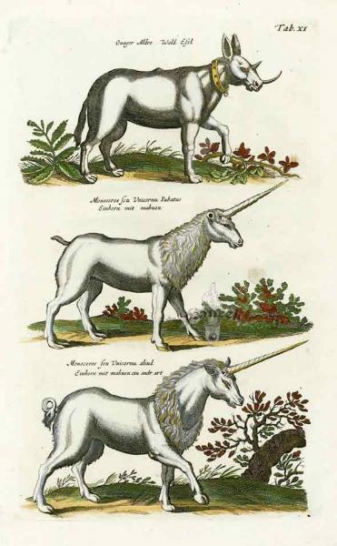What is a unicorn's horn made of? | University of Cambridge