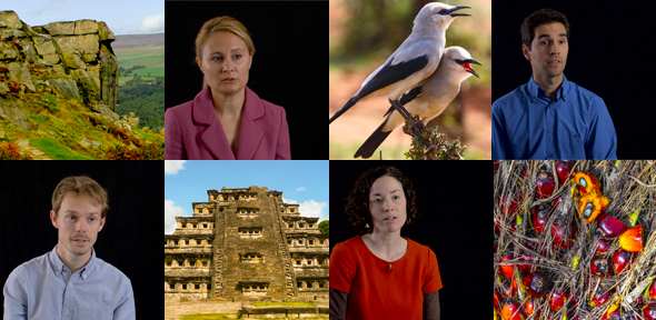 From the Mayans to the moors: a new film series shows biodiversity ...