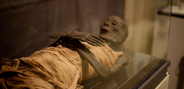 First complete genome data extracted from ancient Egyptian mummies