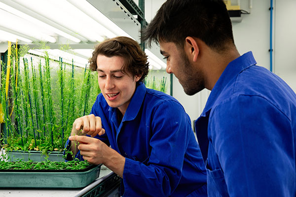 Researchers in a growth room within the University's Sainsbury Laboratory.