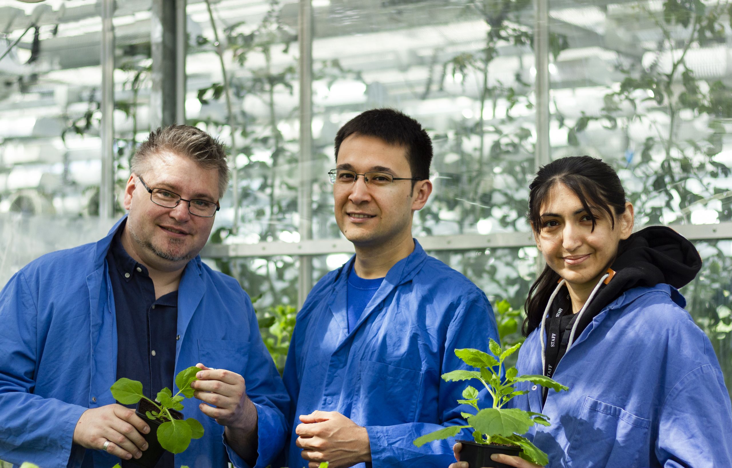 Sebastian Schornack (left), Temur Yunusov (middle) and Midhat Ubaid (right) at the Sainsbury Laboratory, University of Cambridge.