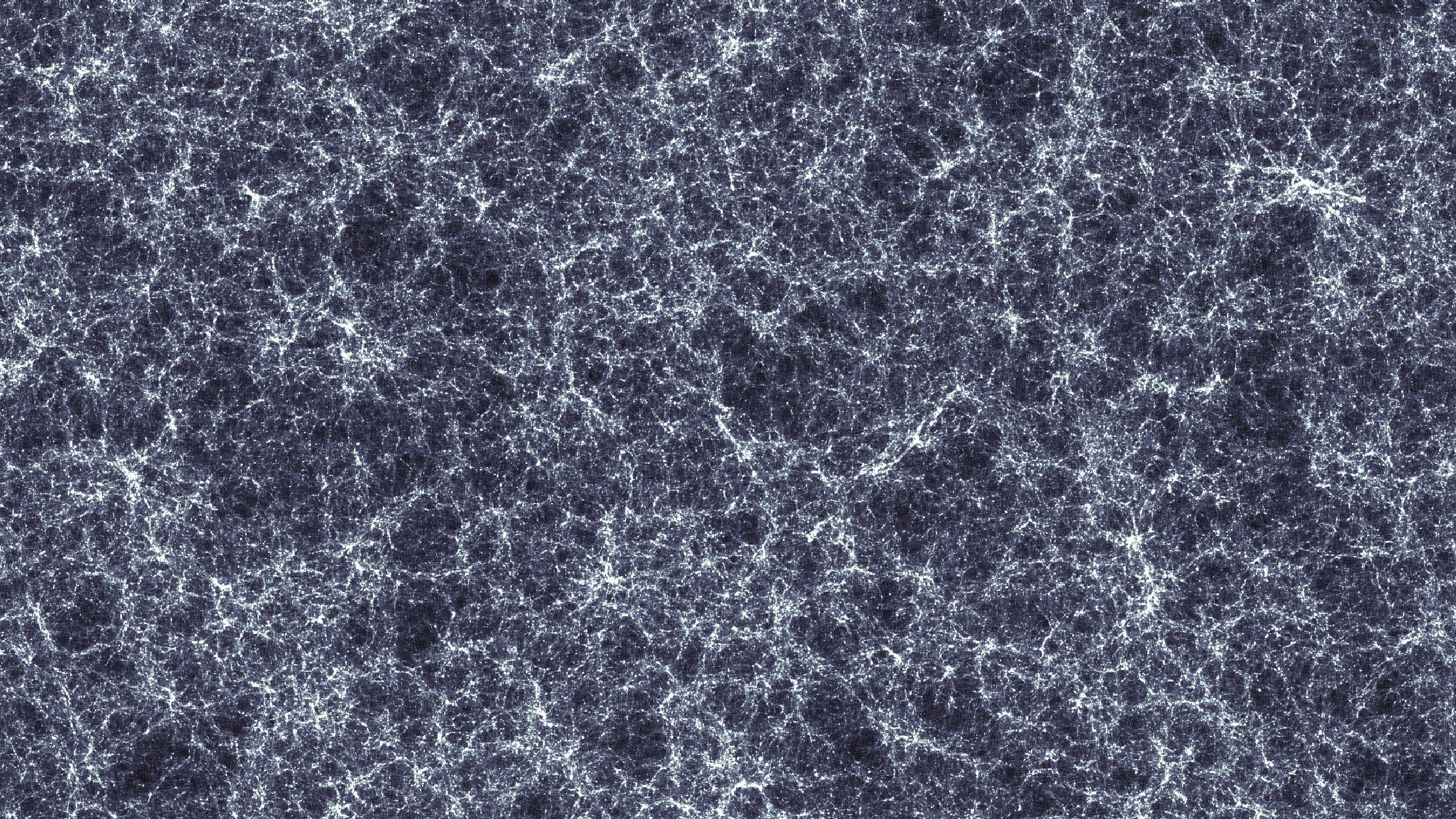 Large-Scale Structure of the Universe