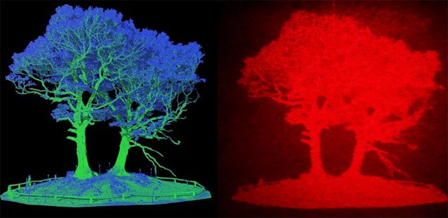 Image based on LiDAR data (left), converted to a hologram (right).