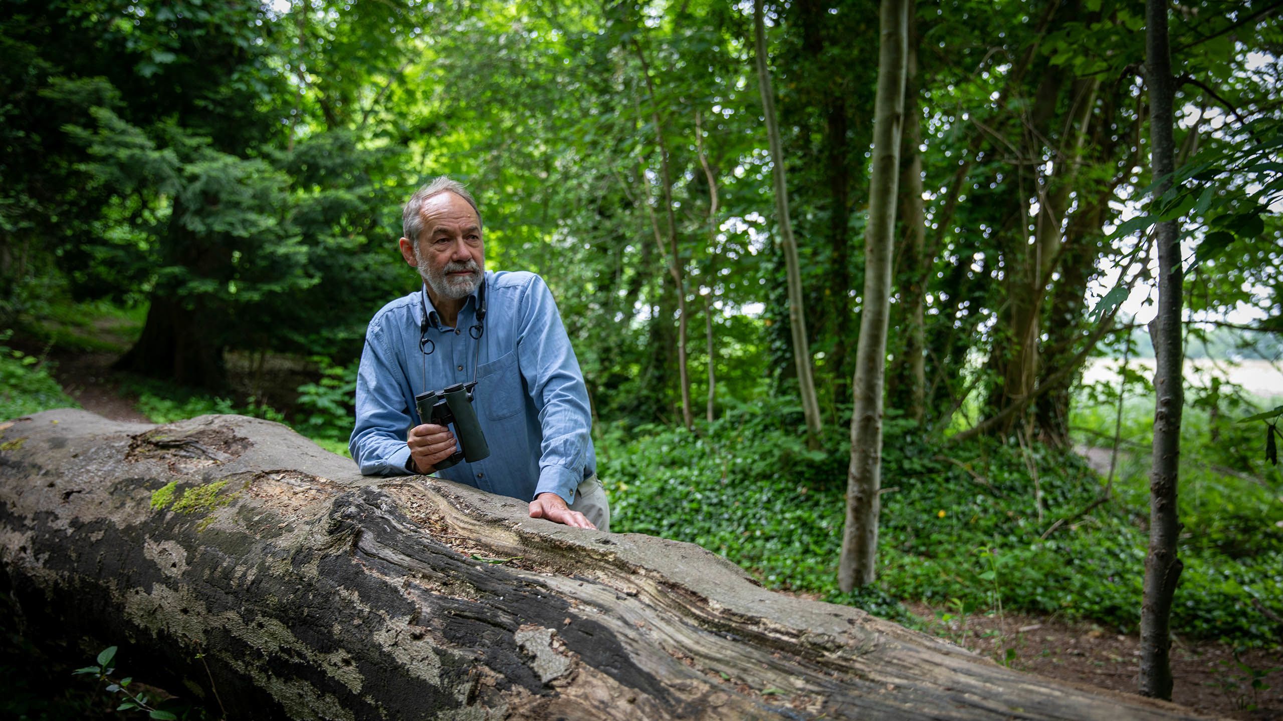 Bill leaning on fallen tree trunk 