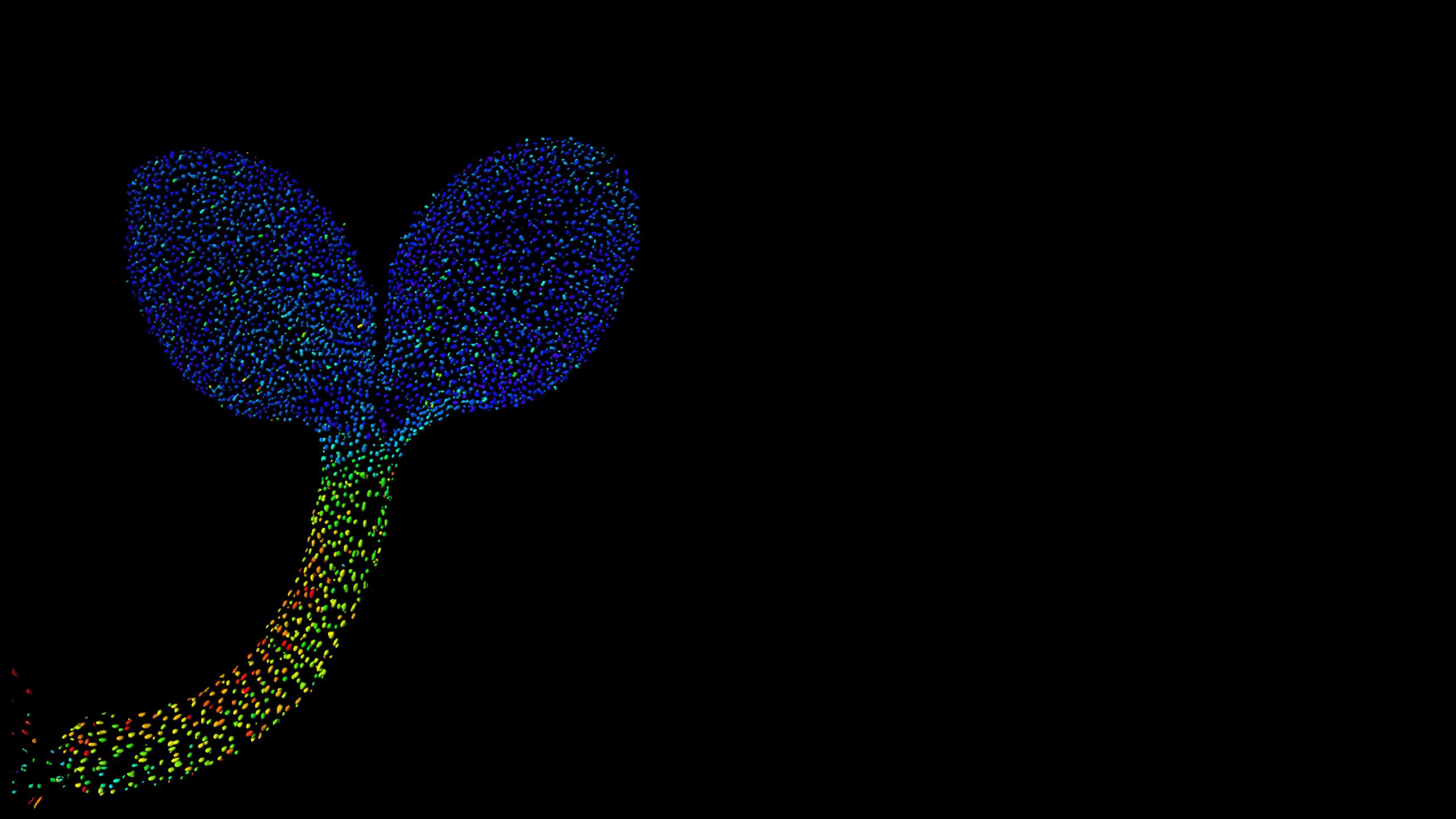 Biosensor imaging of a seedling, measuring how the concentrations of the plant hormone gibberellin change as the plant grows. Credit: Annalisa Rizza.