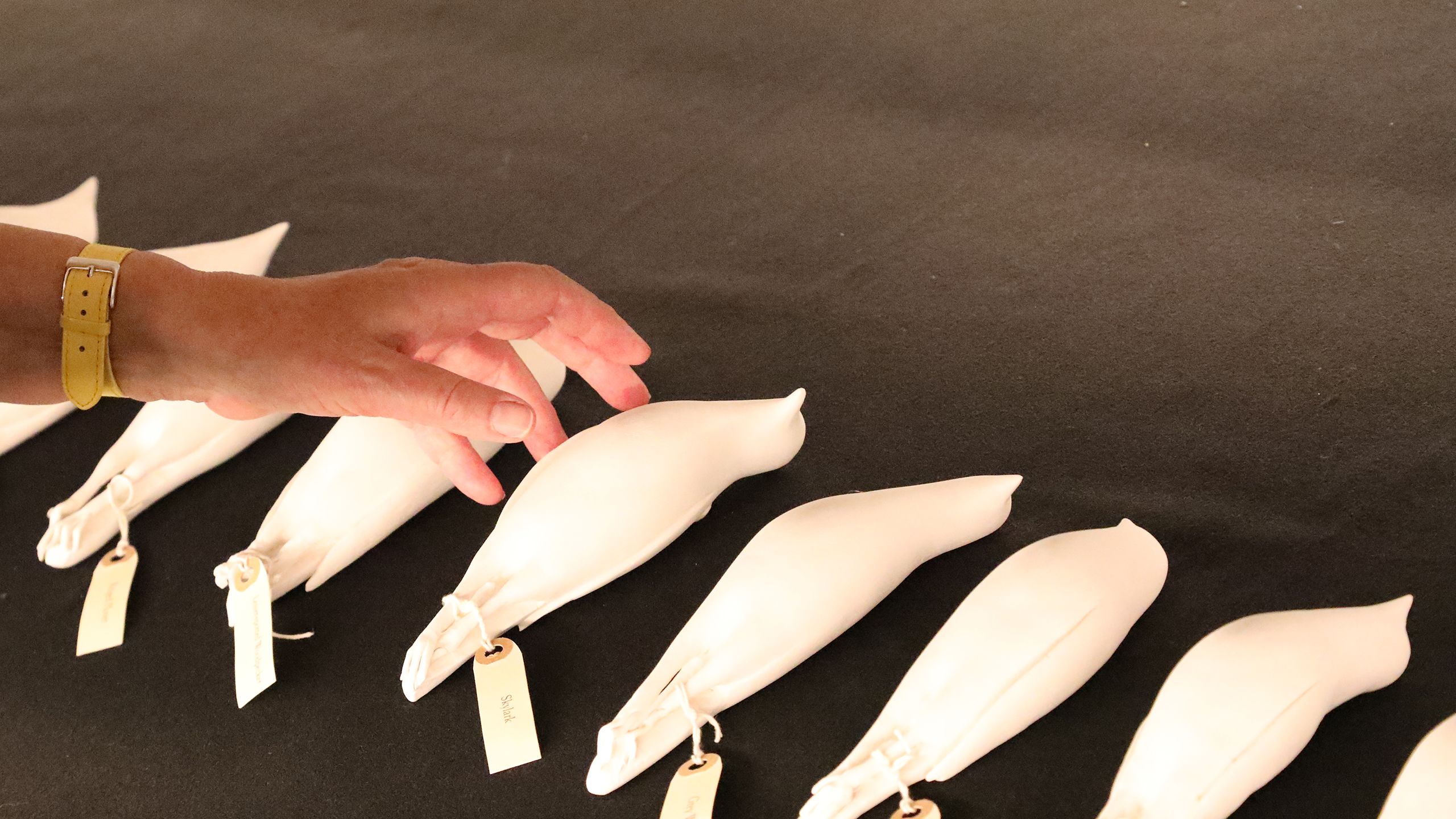 Artist Jayme Ivimey and her work The Red List of Endangered British Birds (2019) on display in the Museum of Zoology, University of Cambridge