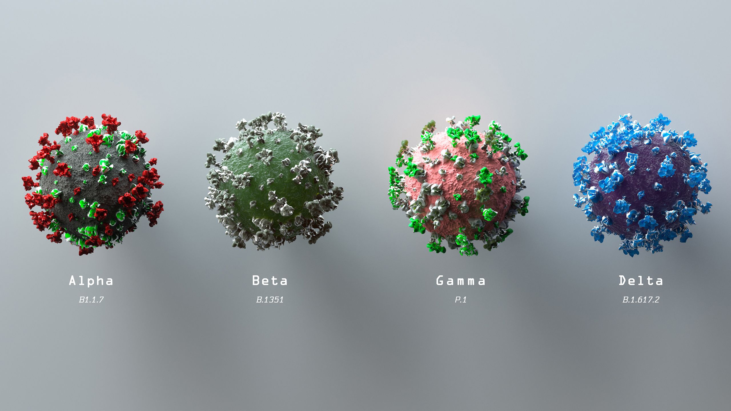 Digital generated image of different variants of SARS-CoV-2