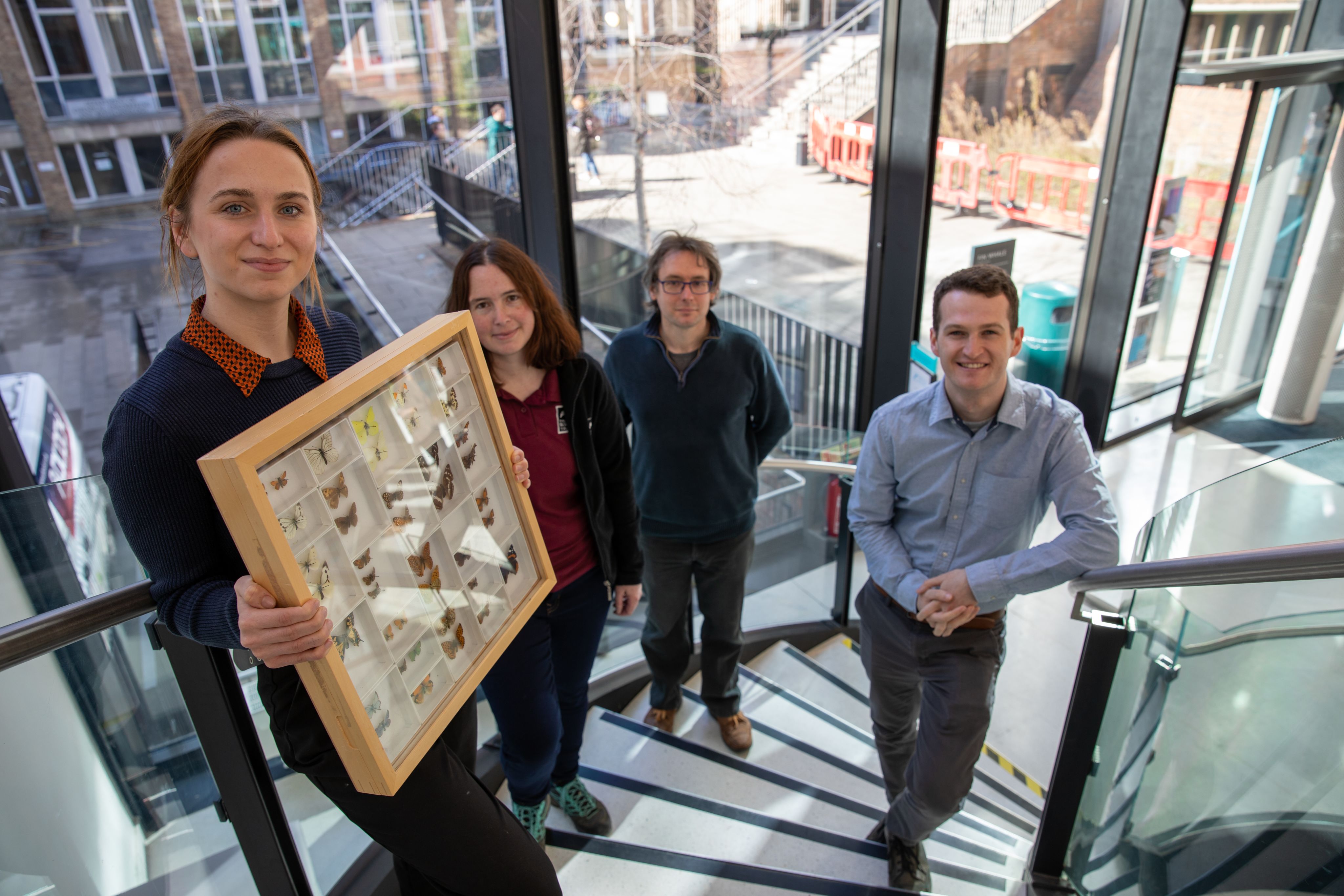 Meet the team: Evie Crouch, Research Assistant, Dr Gwen Hitchcock from the Wildlife Trust, Dr Edgar Turner, Curator of Insects at the Museum, and Matthew Hayes, Research Assistant.