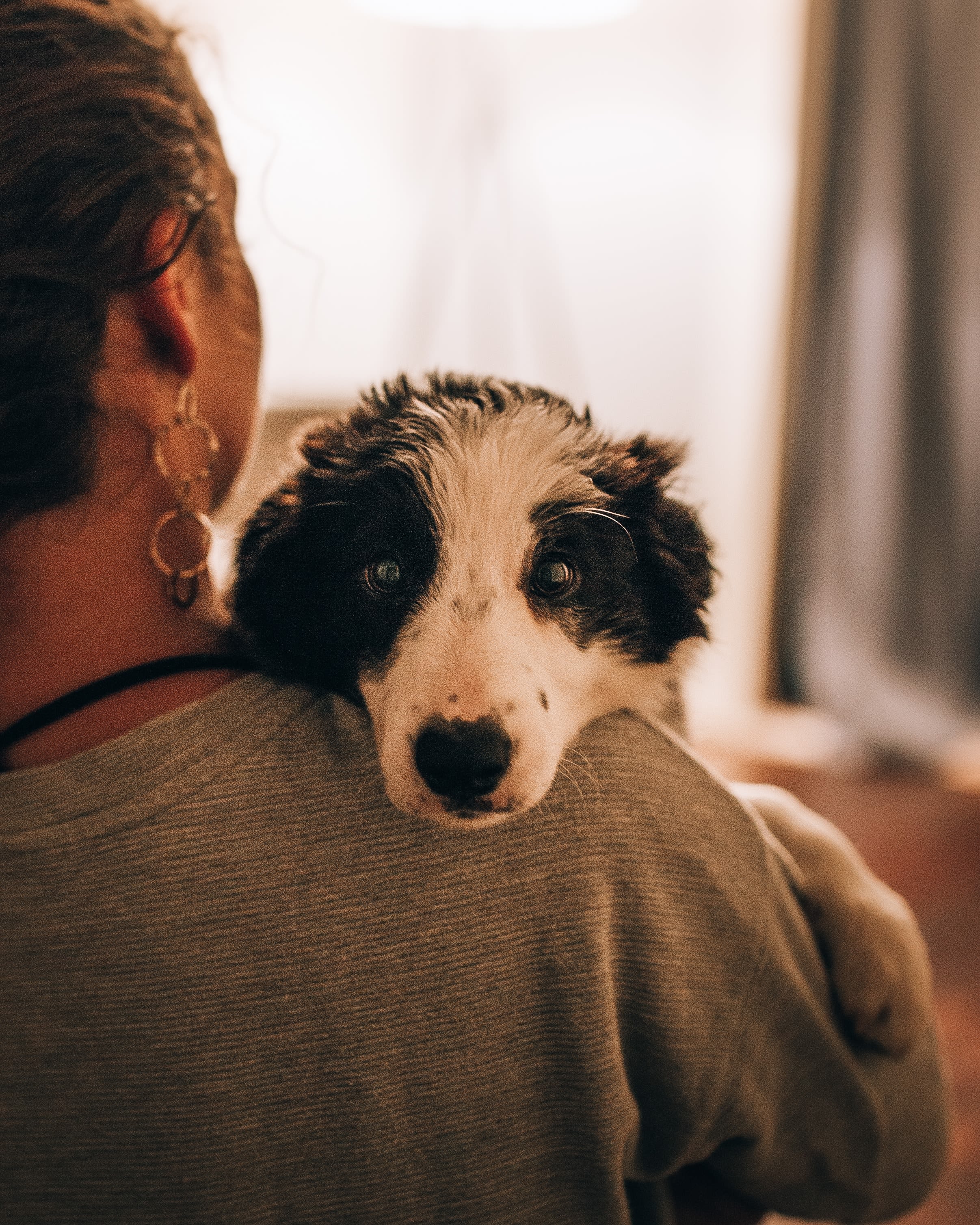 woman holding dog