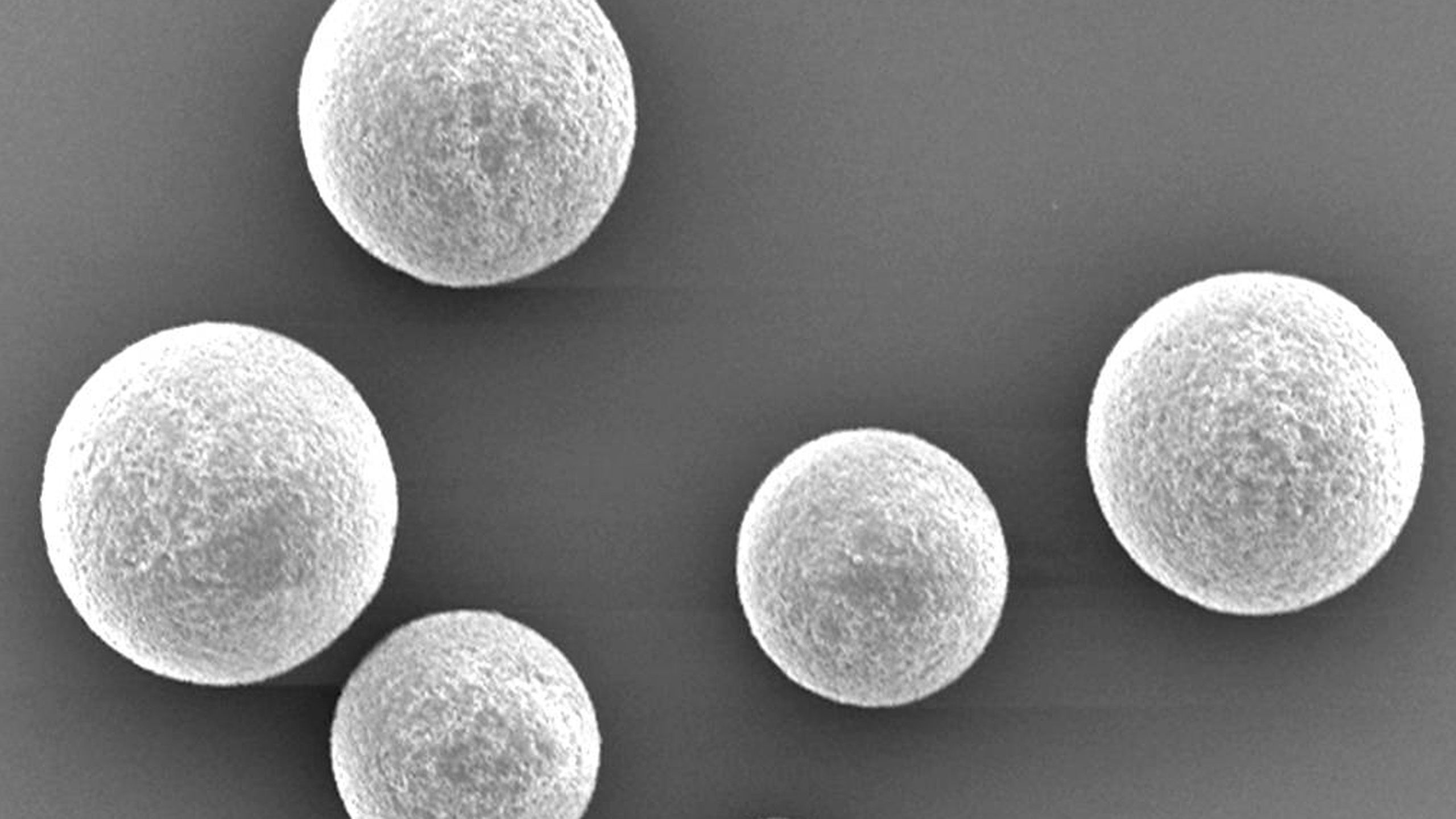 Scanning electron micrograph of BioBullets