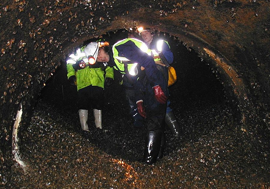 Tunnel clogged with zebra mussels (credit: Thames Water)