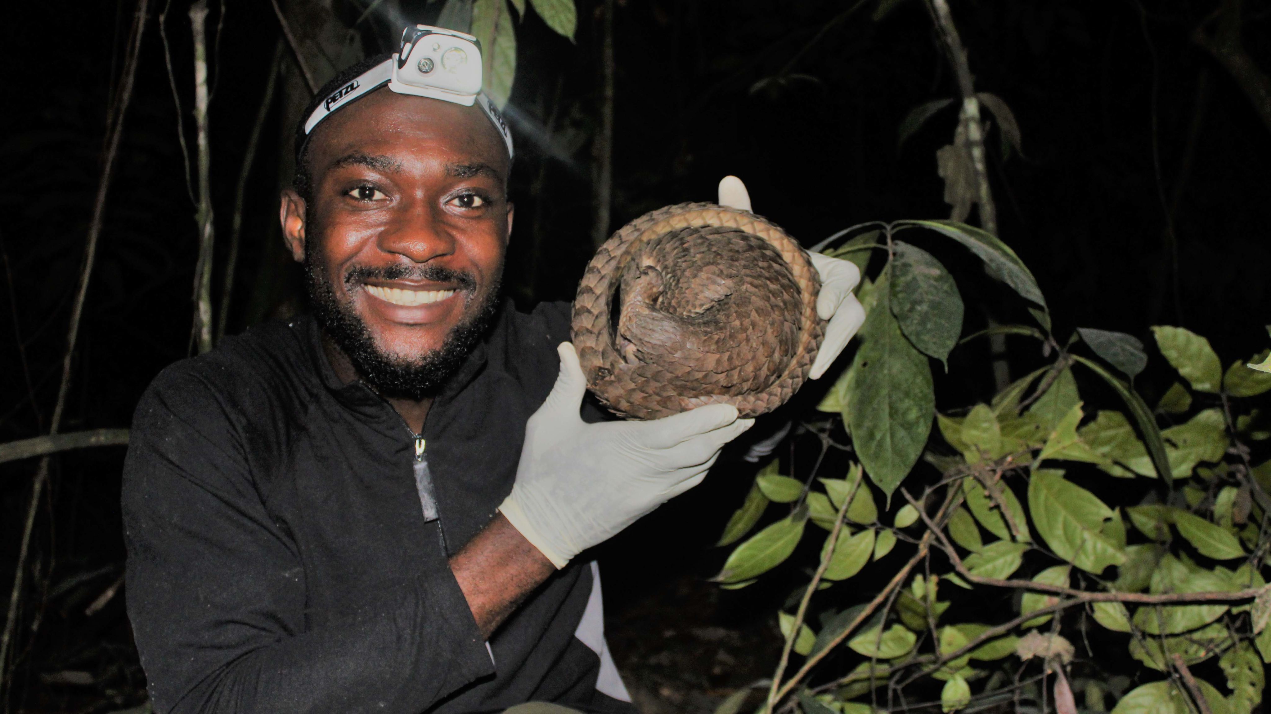 Charles holding a curled up pangolin that he tagged for his ecological work in Nigeria.