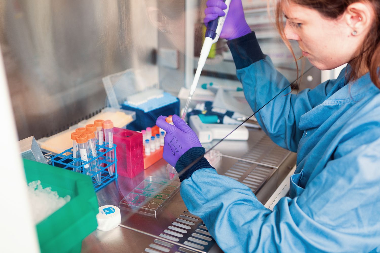 Photo of a lab environment