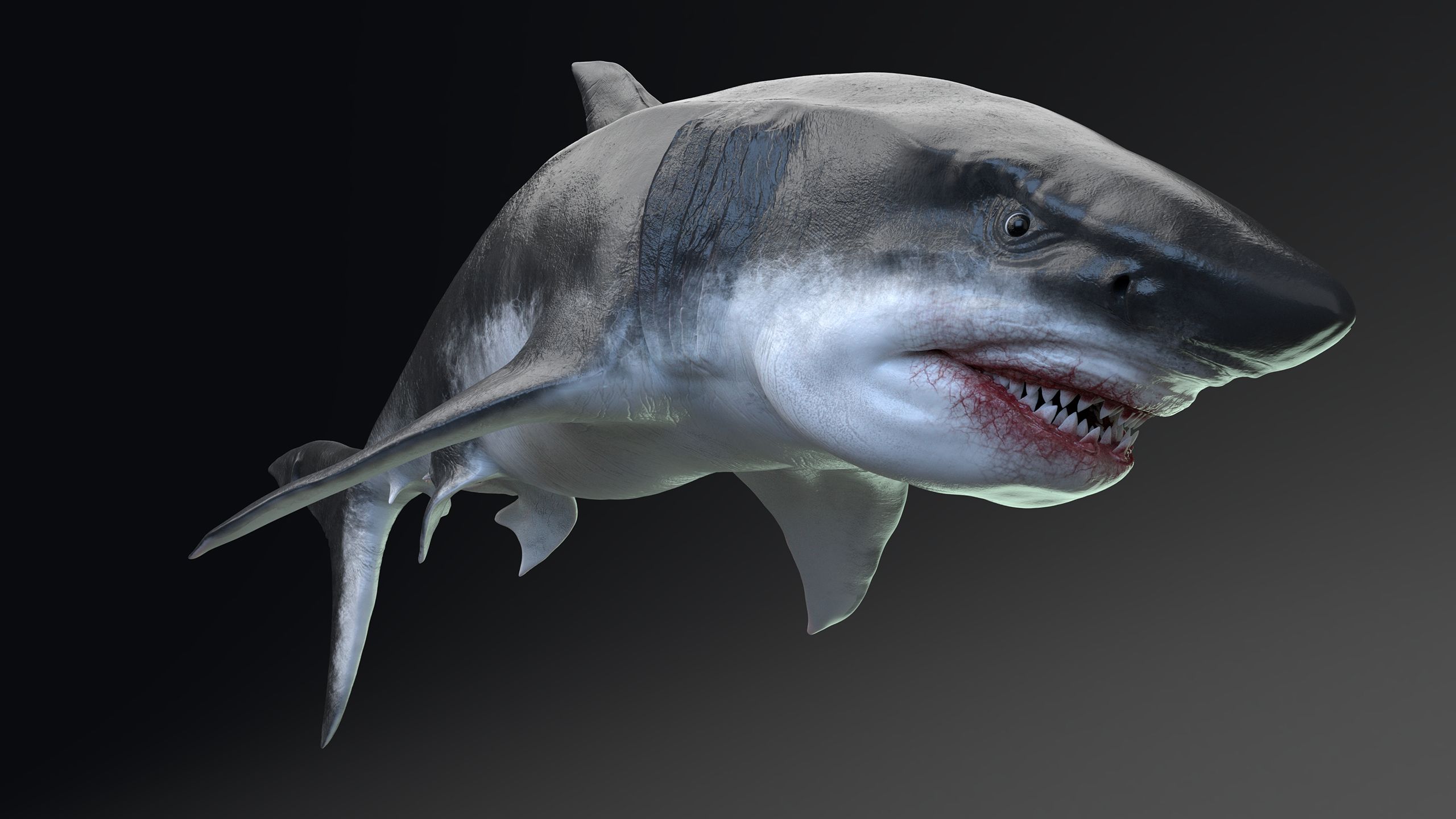 Megalodon Render. Credit: iStock / Getty Images Plus