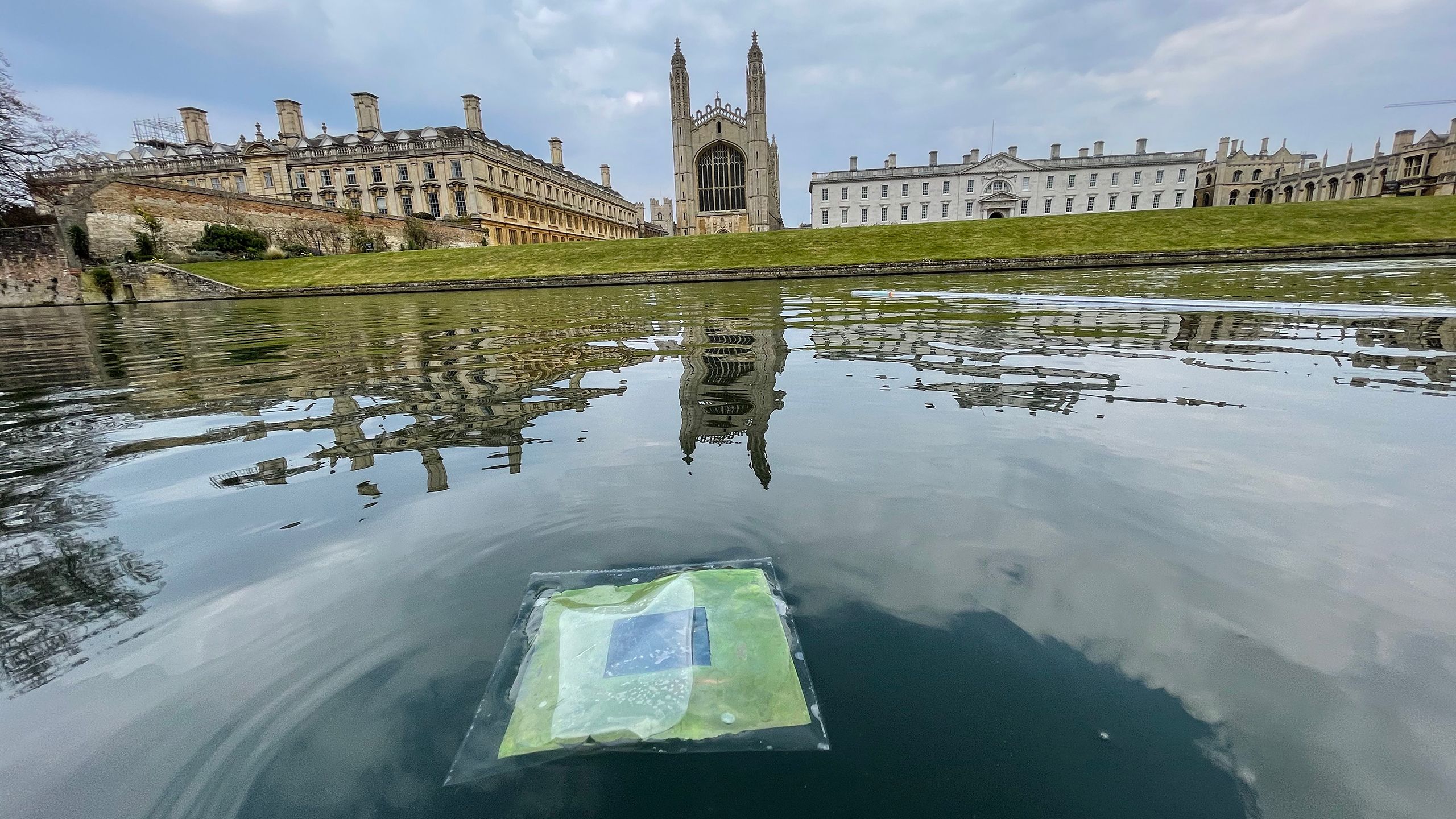 Artificial leaves floating on the River Cam near King's College, Cambridge.