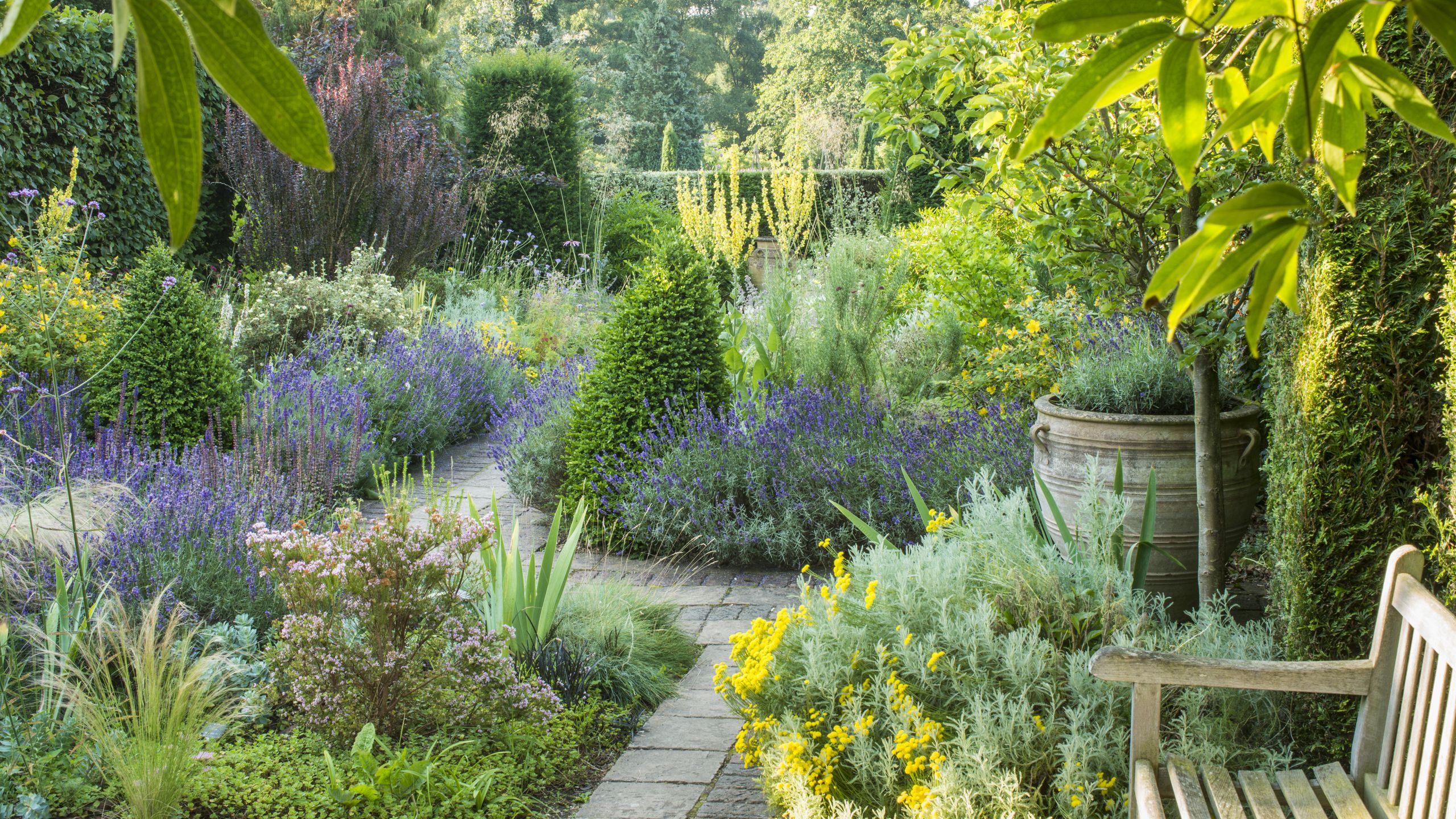 Dry Garden, Cambridge University Botanic Garden