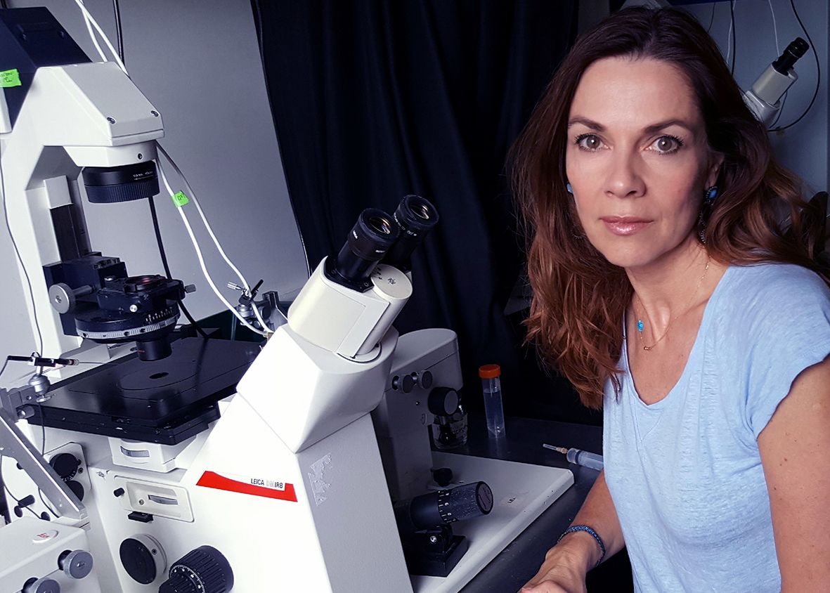 Magdalena Zernicka-Goetz in the lab