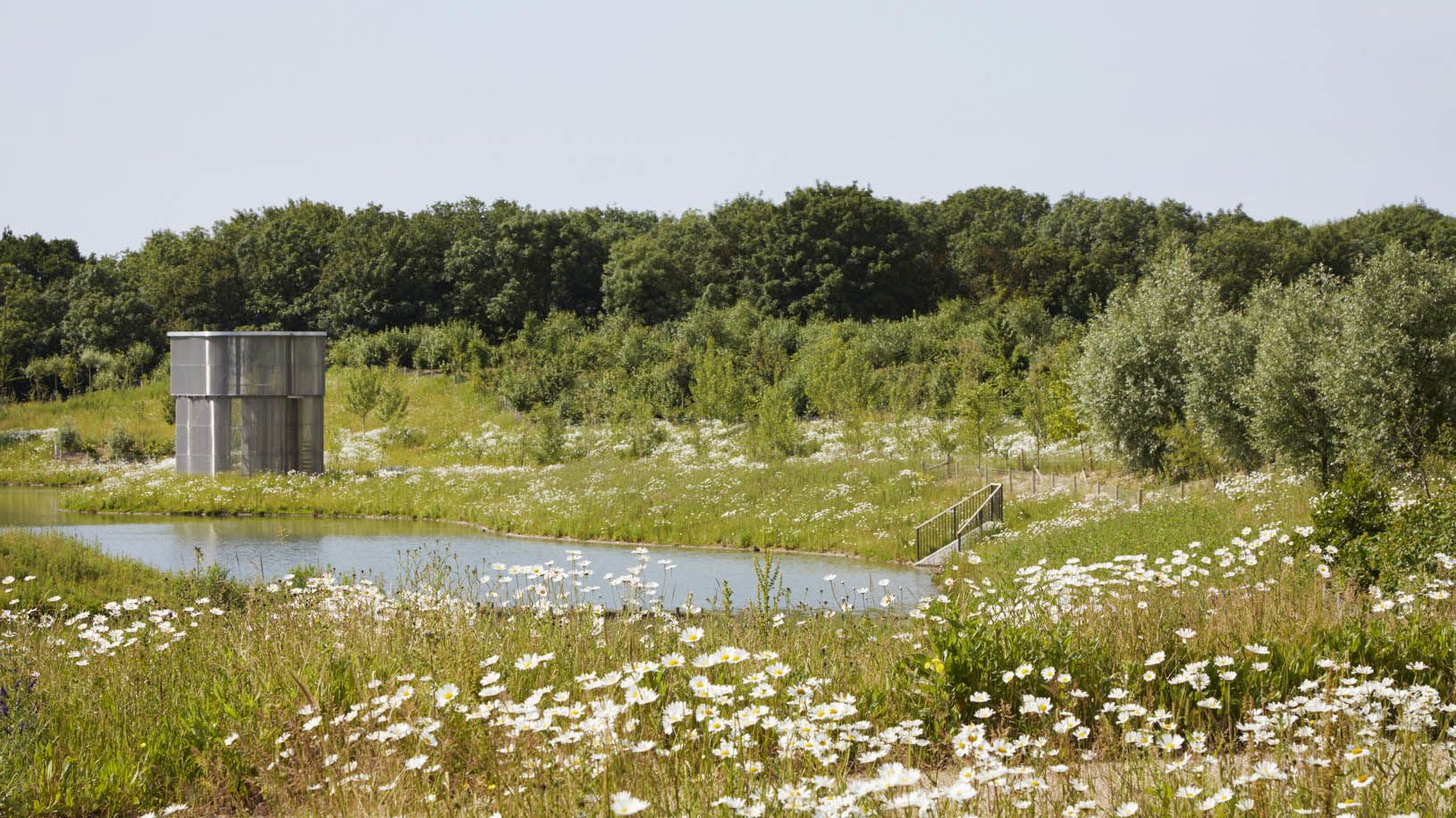 Brook Leys parkland at Eddington