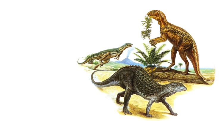 Shaking the dinosaur family tree: how did 'bird-hipped' dinosaurs evolve?