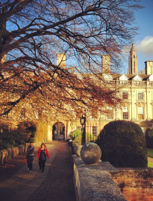 Two people walking under a tree in a college