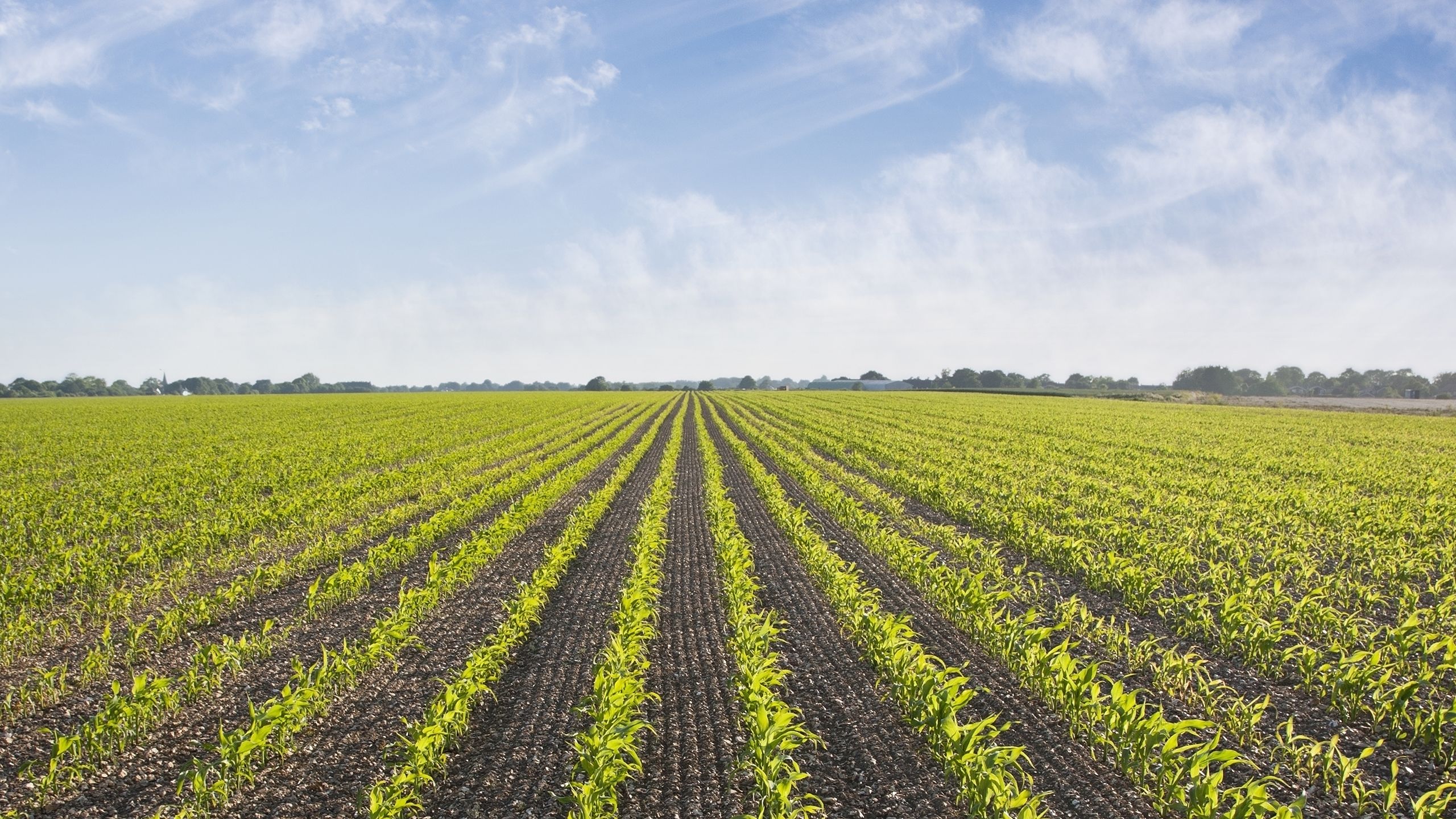 The future farming: from eating insects to