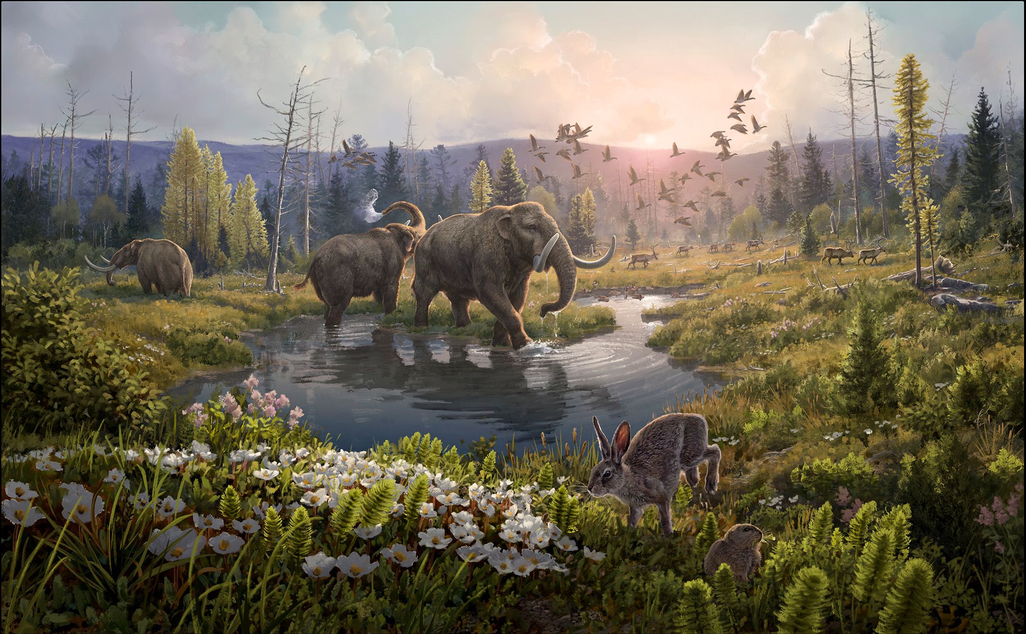 An artist’s impression of the Kap København formation, showing forest and animals.