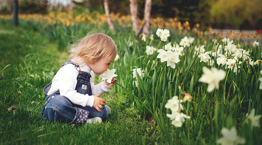 Girl sitting on grass smelling daffodils