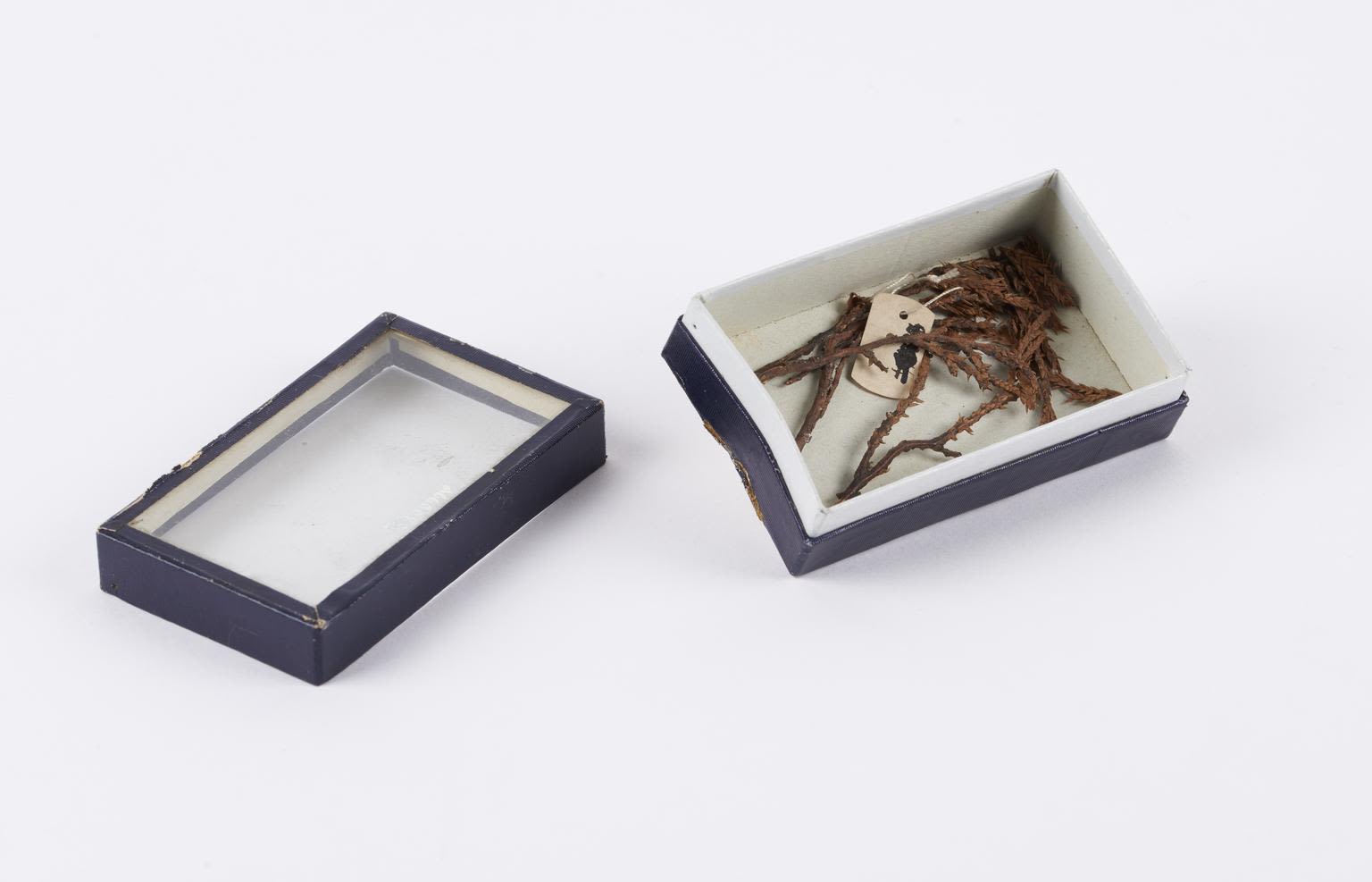 A box opened to show strands of saffron.