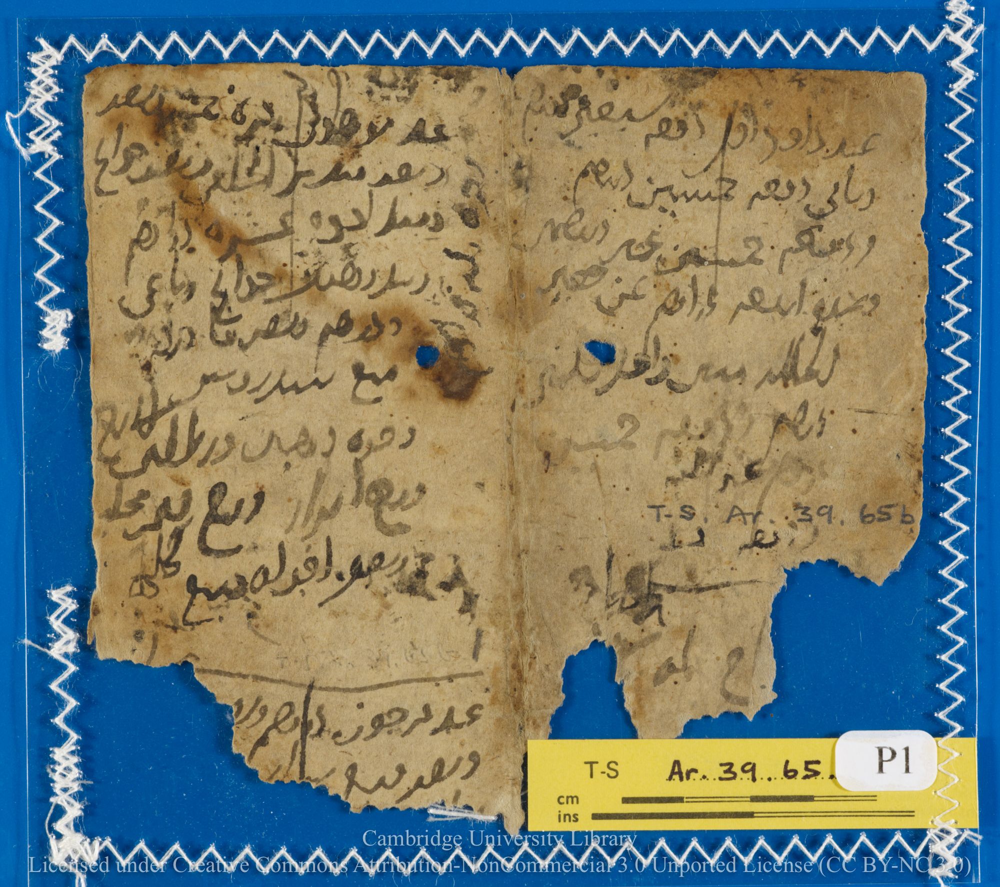A fragment from a manuscript.
