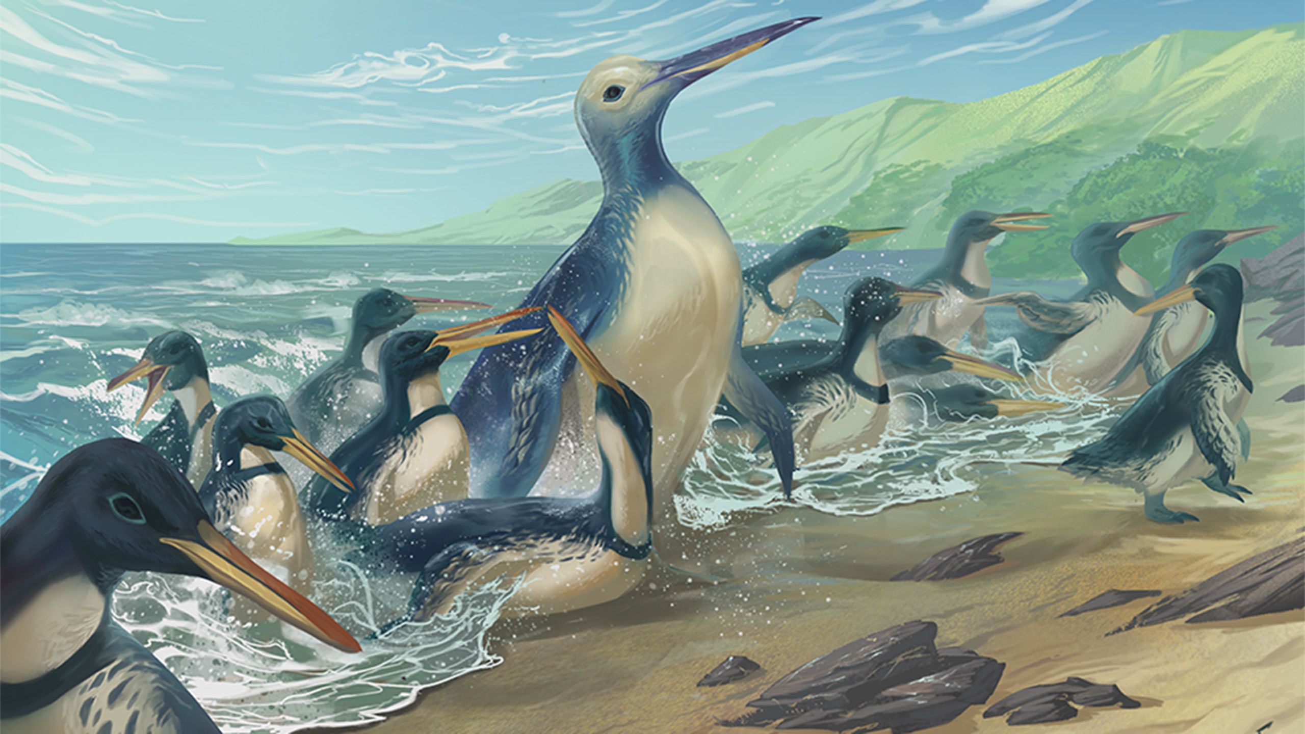 Life reconstructions of Kumimanu fordycei and Petradyptes stonehousei