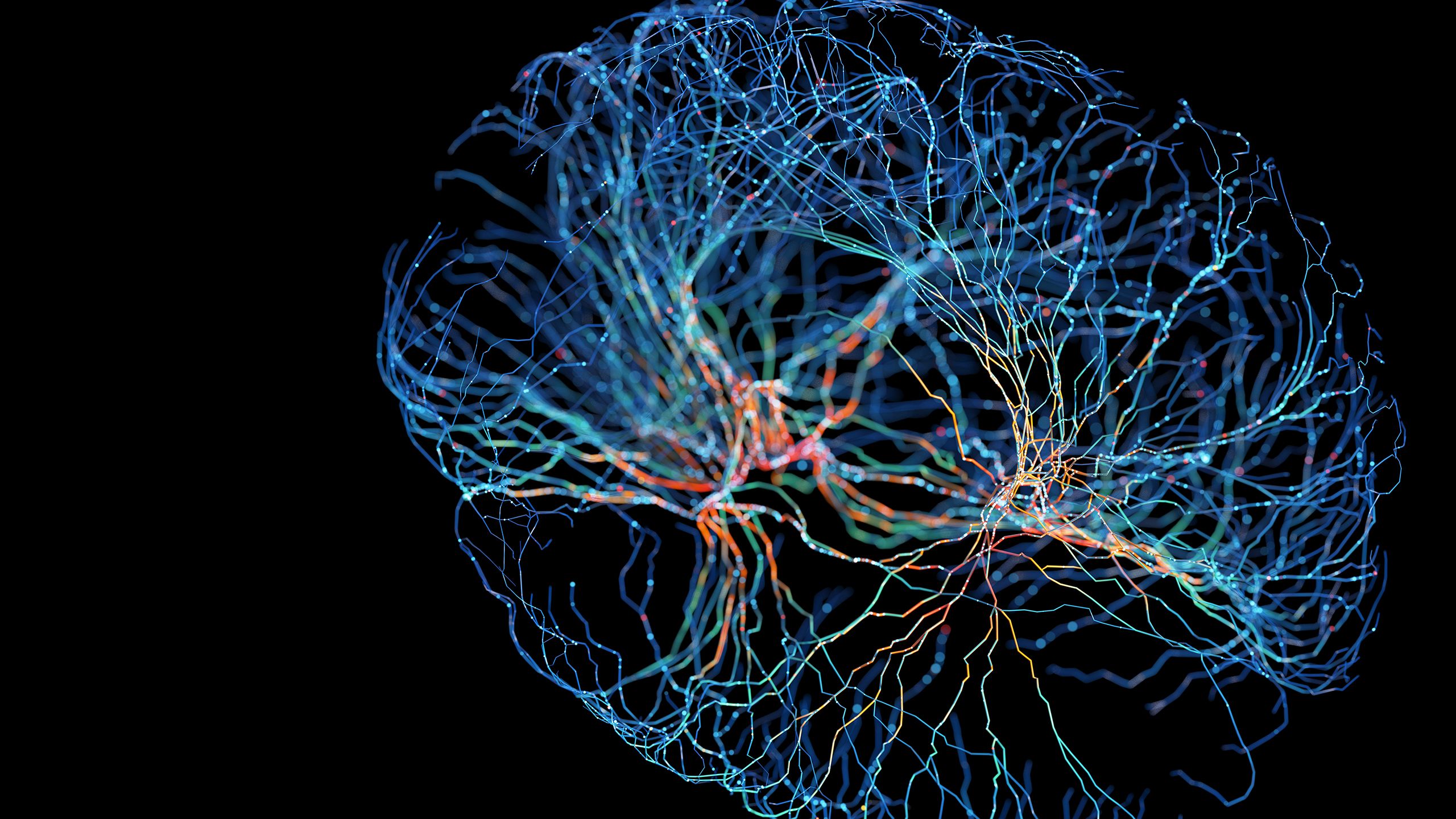 System of neurons with glowing connections on black background